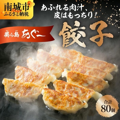 【美ら島あぐー】餃子(80個入り/4パック×20個入り)