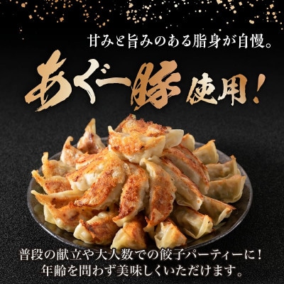 【美ら島あぐー】餃子(80個入り/4パック×20個入り)