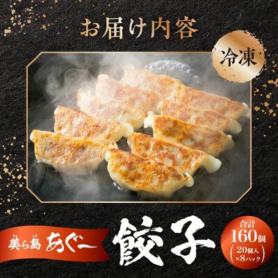 【美ら島あぐー】餃子(160個入り/8パック×20個入り)