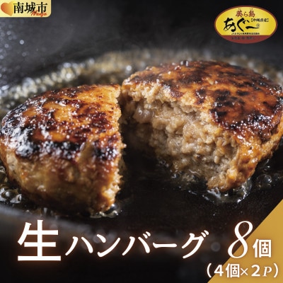 【美ら島あぐー】ハンバーグ8個(4個×2パック　120g/個)