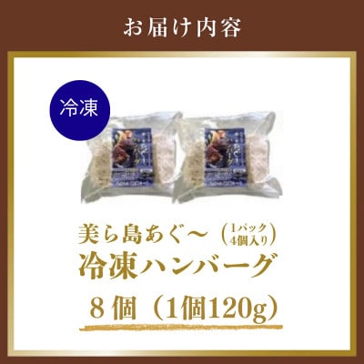 【美ら島あぐー】ハンバーグ8個(4個×2パック　120g/個)