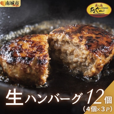 【美ら島あぐー】ハンバーグ12個(4個×3パック　120g/個)
