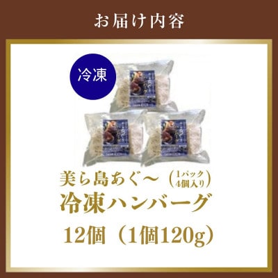 【美ら島あぐー】ハンバーグ12個(4個×3パック　120g/個)