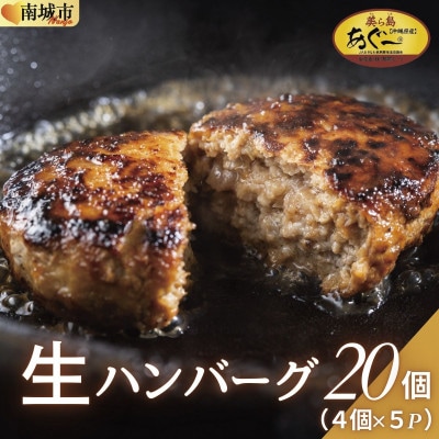 【美ら島あぐー】ハンバーグ20個(4個×5パック　120g/個)