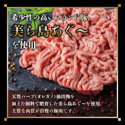 【美ら島あぐー】ハンバーグ20個(4個×5パック　120g/個)