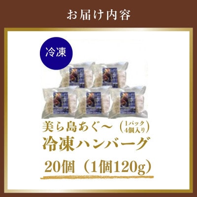 【美ら島あぐー】ハンバーグ20個(4個×5パック　120g/個)