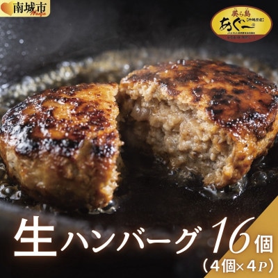 【美ら島あぐー】ハンバーグ16個(4個×4パック　120g/個)