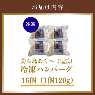 【美ら島あぐー】ハンバーグ16個(4個×4パック　120g/個)