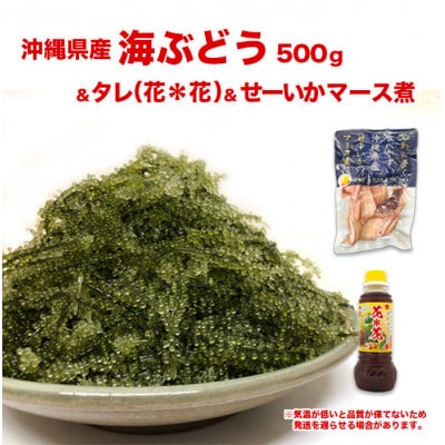 沖縄県南城市産海ぶどう500g&セーイカのマース煮+花花ドレッシング