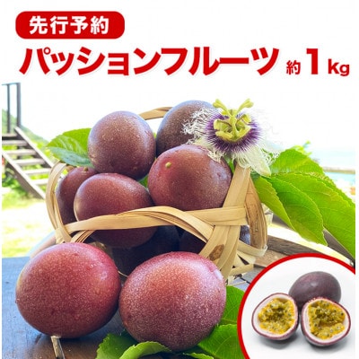 《2026年5～6月発送》南城市産パッションフルーツ　約1kg