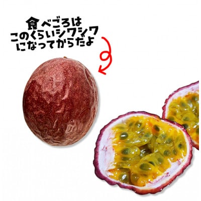《2026年5～6月発送》南城市産パッションフルーツ　約1kg