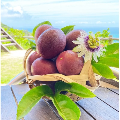 《2026年5～6月発送》南城市産パッションフルーツ　約1kg