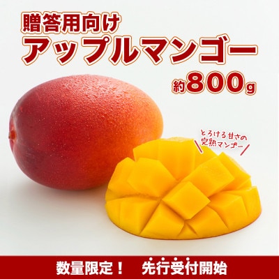 【先行受付】数量限定　優品　アップルマンゴー(化粧箱)　800g
