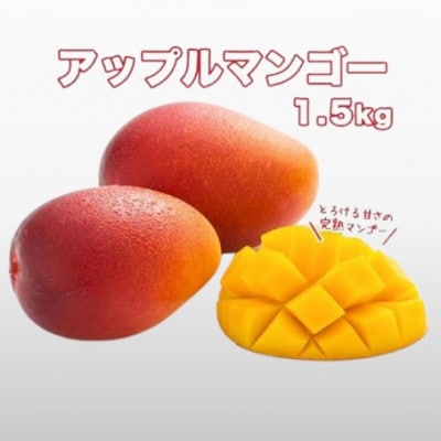【先行受付】南城市観光協会が厳選!プレミアムアップルマンゴー　1.5kg