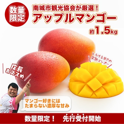 【先行受付】数量限定!優品アップルマンゴー(化粧箱)　1.5kg