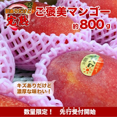 【先行予約】自分へのご褒美アップルマンゴー　約800g