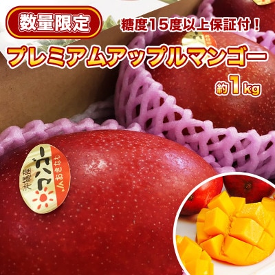 【先行予約】糖度15度以上!プレミアムマンゴー約1kg(2玉)