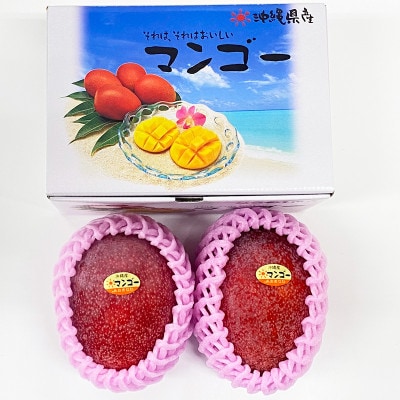 【先行予約】糖度15度以上!プレミアムマンゴー約1kg(2玉)