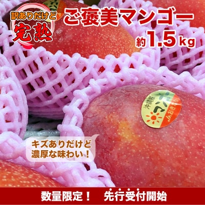 【先行予約】南城市観光協会イチ推し!ご褒美アップルマンゴー 約1.5kg