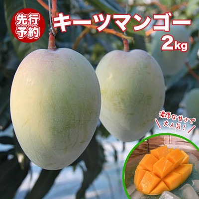 【先行予約・数量限定】キーツマンゴー(優品)2kg  2～3玉入り