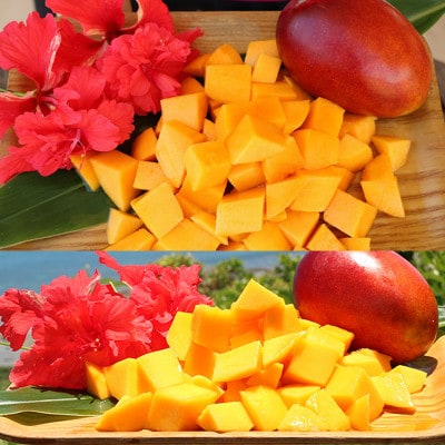 【発送月固定定期便】アップルマンゴー1.5kg&キーツマンゴー2kg　化粧箱全2回