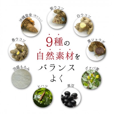 自然の恵みをぎゅっと凝縮。沖縄産4種のウコンと5種の美健素材【SAKEKING4包入×10個セット】