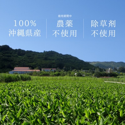 自然の恵みがたっぷり!体の中から美しく、100%沖縄県産【黒人参茶3種×2セット】