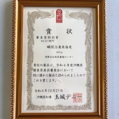 瞬間冷凍ブランド車海老「板馬エビイチ」Lサイズ 500g