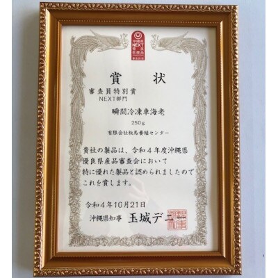 【美味しさ凝縮!】沖縄県産　瞬間冷凍ブランド車海老「板馬エビイチ」2Lサイズ　500g