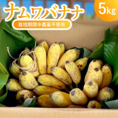 南城市の栽培期間中農薬不使用のナムワバナナ5kg