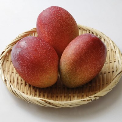 【2025年発送・化粧箱】沖縄県産の完熟マンゴー2kg