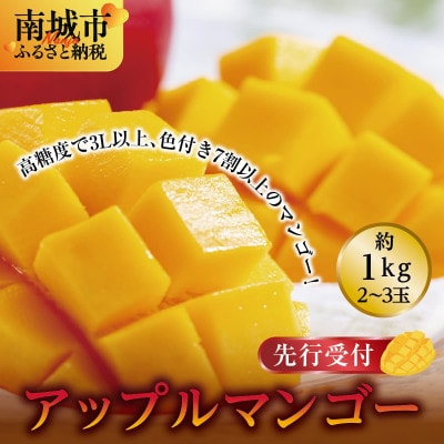 【2026年発送・贈答用】アップルマンゴー約1kg (2～3玉)
