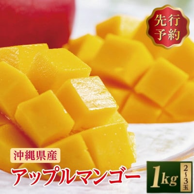【2026年発送・贈答用】アップルマンゴー約1kg (2～3玉)