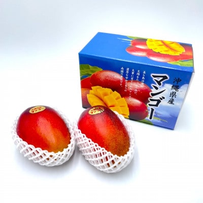 【2025年発送・贈答用】アップルマンゴー2玉(1.0～1.2kg)