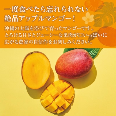 【2026年発送・贈答用】アップルマンゴー約1kg (2～3玉)