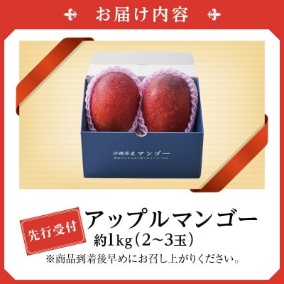 【2026年発送・贈答用】アップルマンゴー約1kg (2～3玉)