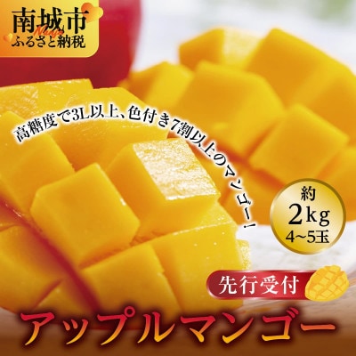 【2026年発送・贈答用】アップルマンゴー4～5玉(2.0kg)
