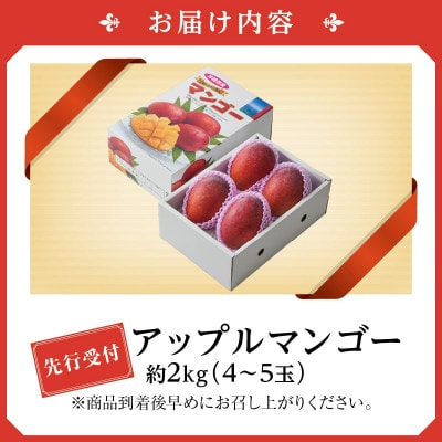 【2026年発送・贈答用】アップルマンゴー4～5玉(2.0kg)