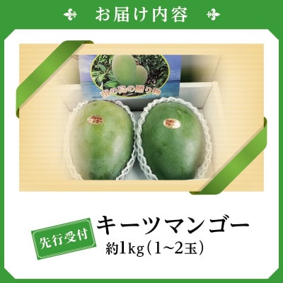 【2026年発送・贈答用】キーツマンゴー約1kg(1～2玉)
