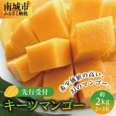 【2026年発送・贈答用】キーツマンゴー約2kg(2～3玉)