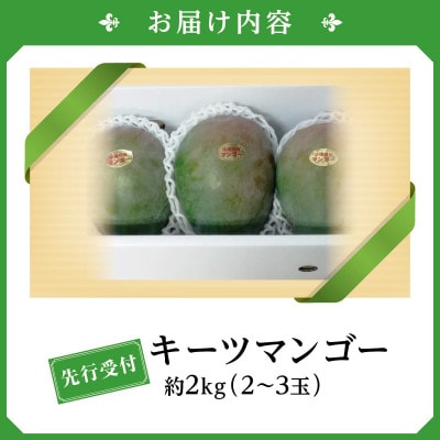 【2026年発送・贈答用】キーツマンゴー約2kg(2～3玉)