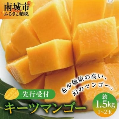 2027年発送・贈答用】キーツマンゴー約1.5kg(1～2玉) | 沖縄県南城市