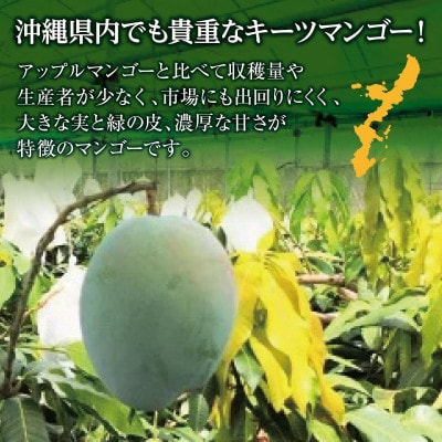 2027年発送・贈答用】キーツマンゴー約1.5kg(1～2玉) | 沖縄県南城市