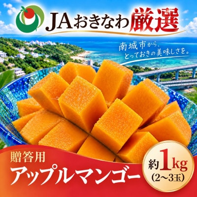 【2027年6月下旬から順次発送・化粧箱】JAおきなわ 完熟アップルマンゴー約1kg(2～3玉)