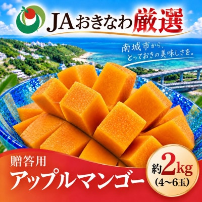【2027年6月下旬から順次発送・化粧箱】JAおきなわ 完熟アップルマンゴー約2kg(4～6玉)