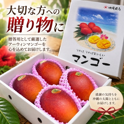 【2027年6月下旬から順次発送・化粧箱】JAおきなわ 完熟アップルマンゴー約2kg(4～6玉)