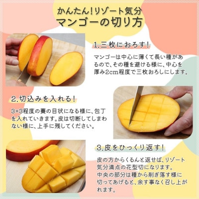 【2025年6月～7月頃の発送・化粧箱】完熟アップルマンゴー約2kg(4～6玉)