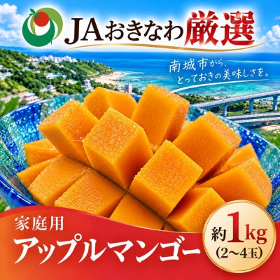 【2027年6月下旬から順次発送・白箱】JAおきなわ 家庭用アップルマンゴー約1kg(2～4玉)