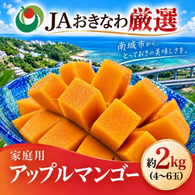 【2027年6月下旬から順次発送・白箱】JAおきなわ 家庭用アップルマンゴー約2kg(4～6玉)