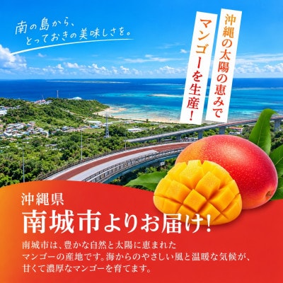 【2027年6月下旬から順次発送・白箱】JAおきなわ 家庭用アップルマンゴー約2kg(4～6玉)